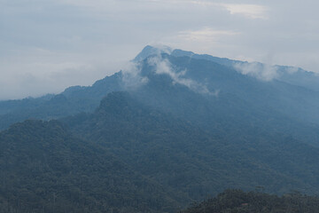 the scenery in the village with very fresh and quiet air