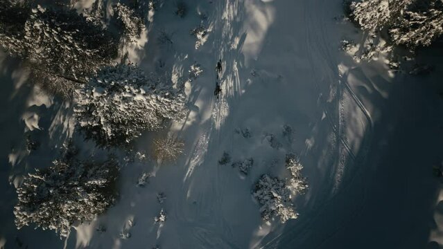 two people skiing and hiking through beautiful wintery forest aerial topshot