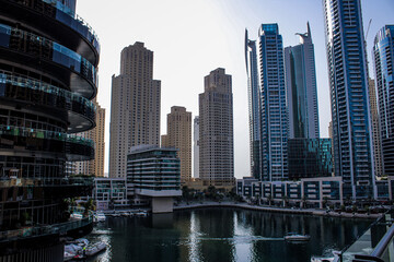 Obraz premium skyscrapers