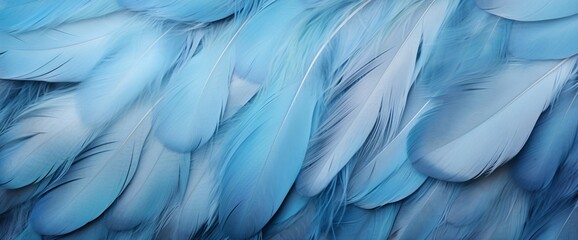 Fototapeta na wymiar Close-up of blue feathers with intricate details and patterns, set against a soft blue background.