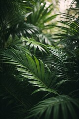 Beautiful green background with leaves of plants in the forest.