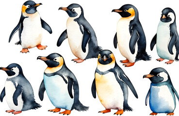 Fototapeta premium set of watercolor cute safari Penguins isolated on transparent background