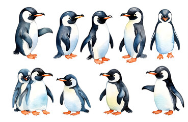set of watercolor cute safari Penguins isolated on transparent background