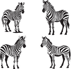 Graphic set of zebra isolated on white background, - obrazy, fototapety, plakaty