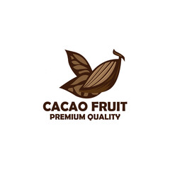 eco friendly logo design. illustration of cacao fruit logo vector
