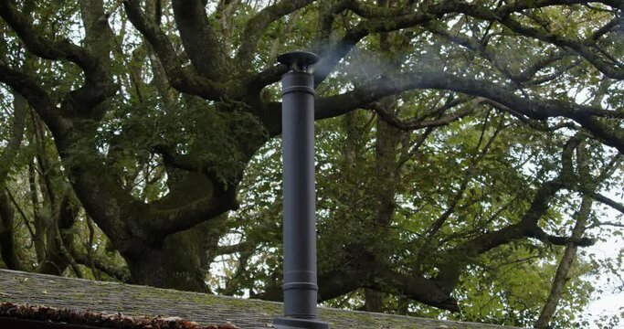 wide shot of a metal flue chimney with light smoke, large tree behind
