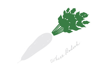 シンプルなダイコンのイラスト