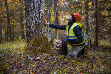 A forest engineer makes a tax assessment of forest plantations.