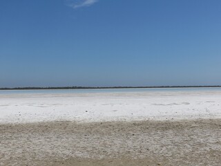 Camargue