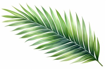 Obraz premium Watercolor palm leaf isolated on white background. AI generative