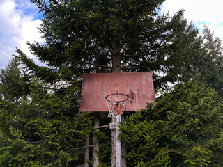 An old basketball ring with a spruce tree forest behind it
