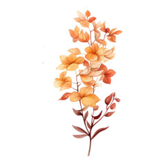 Autumn design elements. Bouquet
Chrysanthemum