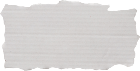 piece of white paper tear isolated on white background