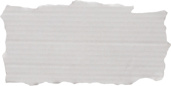 piece of white paper tear isolated on white background
