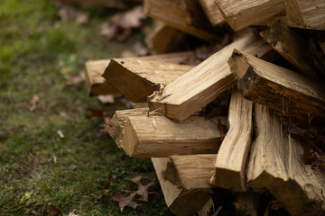 Cut wood in a wood pile