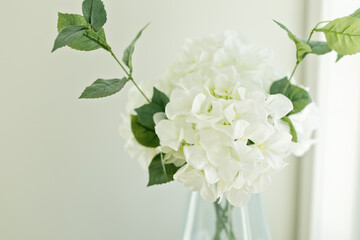 Close up image of white hydrangea flowers and green leaves