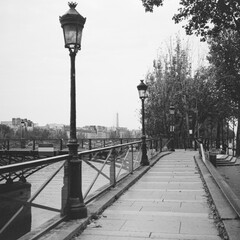 Black and White image of Paris lamp posts and eiffel tower