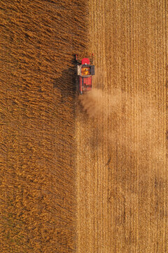 Drone photography of red combine harvester harvesting ripe rapeseed crop plantation field in summer, aerial shot