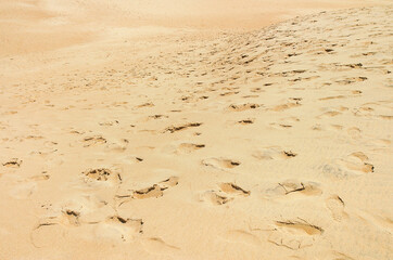 The Jockey's Ridge State Park in North Carolina