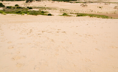 The Jockey's Ridge State Park in North Carolina