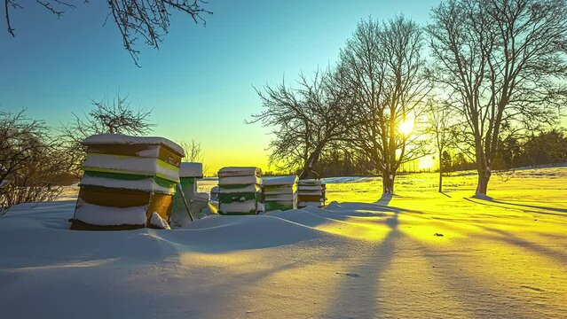 Snow covered beehives sitting in deep snow in field during sunset. Static timelapse. 