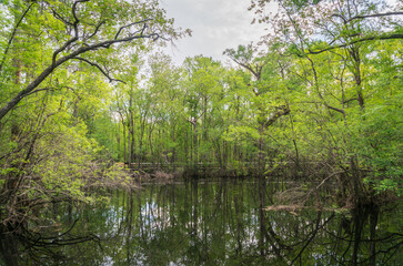 Moores Creek National Battlefield in North Carolina