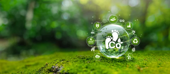 Poster carbon footprint. A human footprint in the middle of a lush crystal globe. Concepts of sustainable development and green business from renewable energy Reducing CO2 emissions, green business © narawit