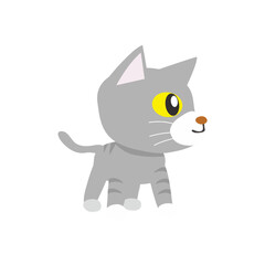 cute set of gray cats with yellow eyes funny