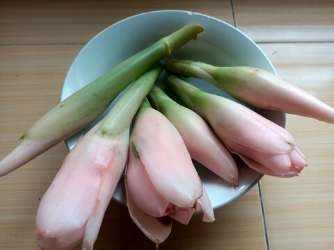 Etlingera elatior  also known as torch ginger, ginger flower, red ginger lily, torchflower, torch lily, wild ginger, honj&eacute;, combrang, kecombrang,, bunga kantan,( Philippine) wax flower, (Indonesian) t