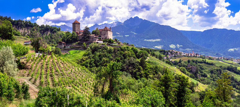 Italian medieval castles - majestic Tirolo Castle in Merano. surrounded by Alps mountains and vineyards. Bolzano province, Italy