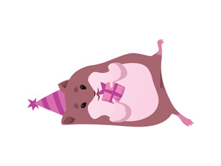 Cute hamster wearing a birthday hat with gift, flat vector illustration isolated.