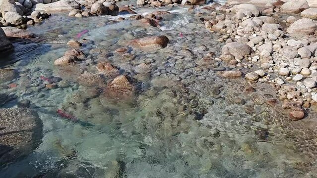 A Video of Crystal Clear River Flowing amid the Rocks of the Mountains
