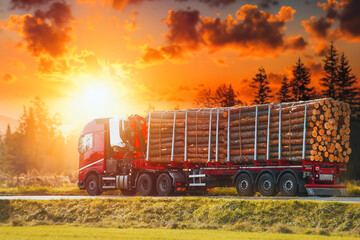 Heavy Loaded Truck with Manipulator for loading or unloading lumber is Carrying Timber Logs.