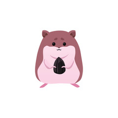 Cute little hamster standing and holding black seed in paws flat style