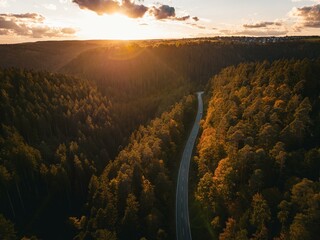 Road through the autumn forest at sunset, Holzbronn, Black Forest, Germany, Europe