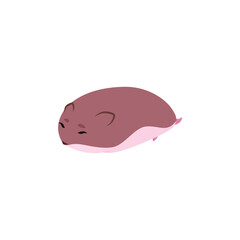 Cute sleeping hamster flat style, vector illustration