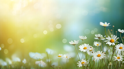 Daisy flowers and grass in corner arrangement on green blurred background. generative ai.
