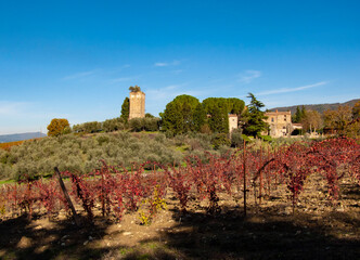 Fototapeta premium Italia, Toscana, i vigneti e campagna Toscana in autunno .