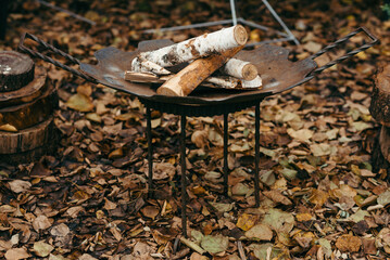 The fire bowl stands on fallen yellow foxes