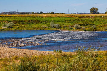 Maas river with water flowing between stones, alluvial terrain, Belgian countryside with trees against blue sky in background, sunny day in Maasvallei nature reserve in Meers, Elsloo, Netherlands