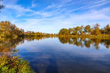 Fototapeta premium Landscape of a river surrounded by autumn trees against blue sky in background, mirror reflection on water surface, Belgian nature reserve De Wissen Maasvallei, sunny day in Dilsen-Stokkem, Belgium