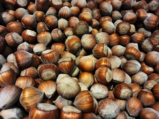 Lots of hazelnuts natural background.
