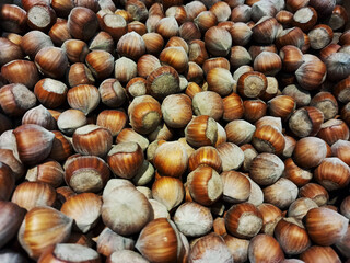Lots of hazelnuts natural background.