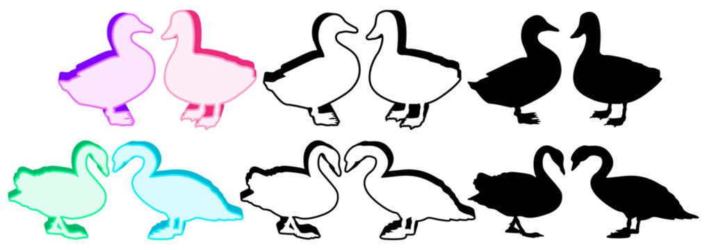 Set trendy couple duck icon. swan poultry design vector illustration
