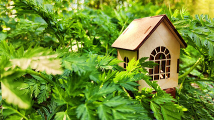 miniature toy house in grass close up, spring natural background. symbol of family. mortgage,...