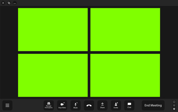 Video conference user interface. Video call window overlay.