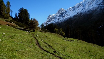 landscape in the mountains