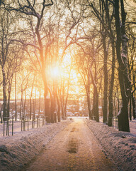 Sunset or dawn in a winter city park with trees, benches and sidewalks covered with snow and ice. Vintage film aesthetic.