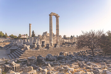 Great Temple of Apollo at Didyma (Didimeion) at summer sunset. Panoramic view. Didim (Aydin),...