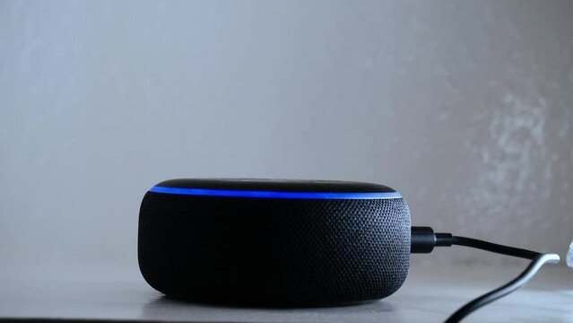 Home smart voice device medium shot